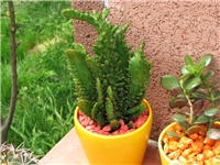 2dfbe477-04.08.2010. 182.jpg